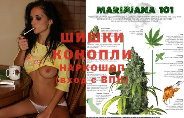 гашик Горно-Алтайск