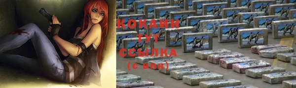 гашик Горно-Алтайск