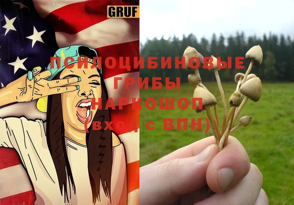 гашик Горно-Алтайск