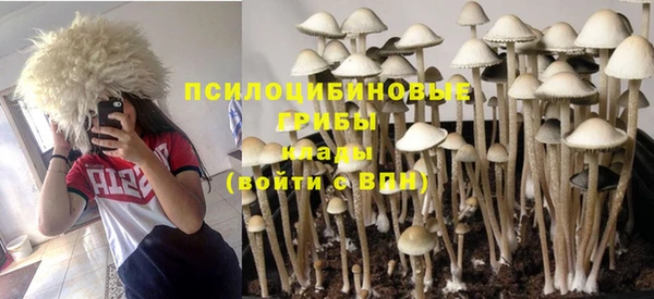 гашик Горно-Алтайск