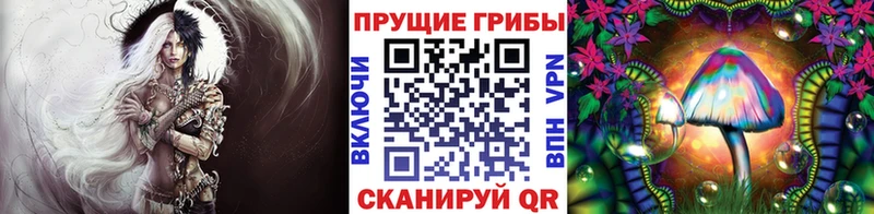 Купить закладки  Хотьково  Псилоцибиновые грибы прущие грибы 